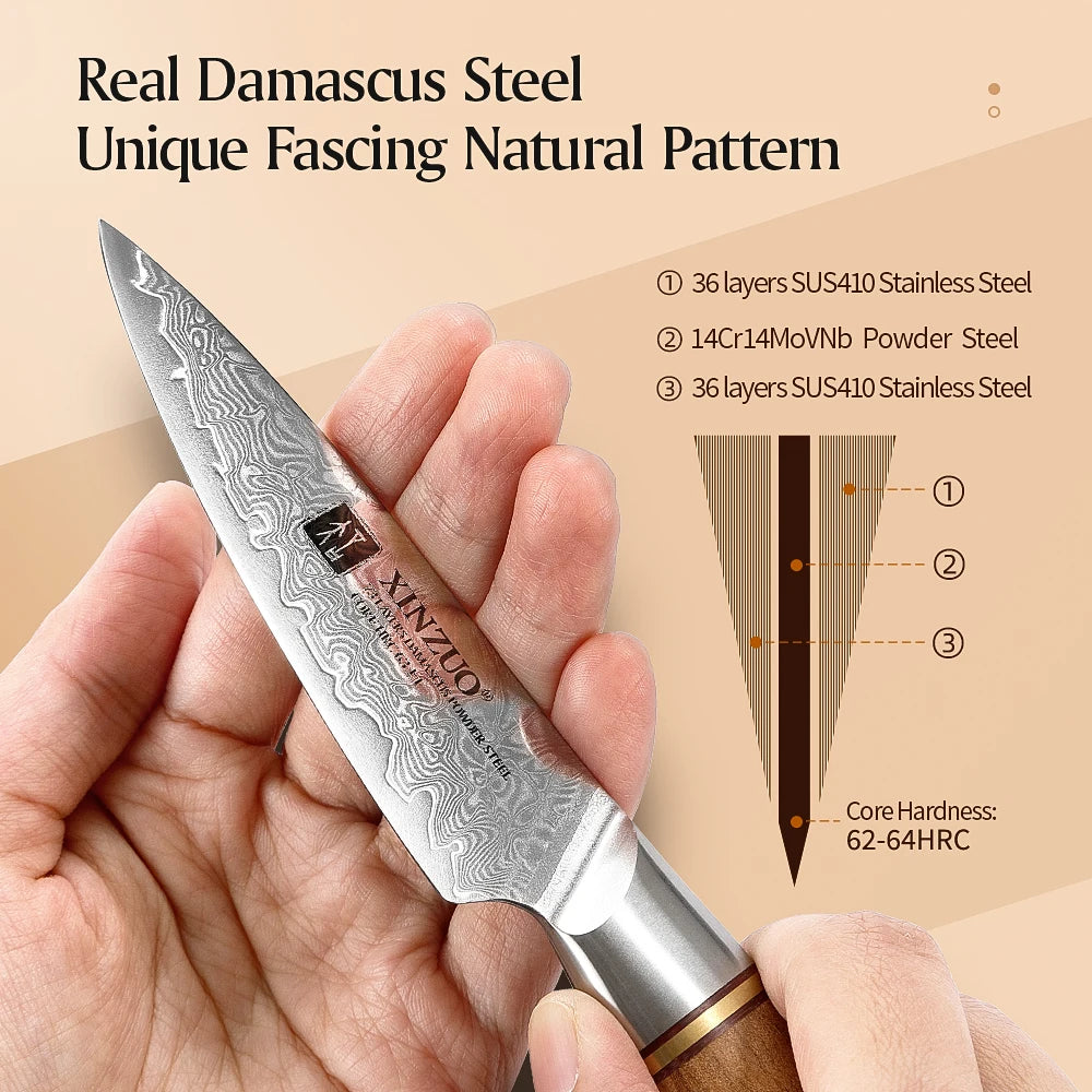 XINZUO 3.5'' Paring Knife – 73-Layer Damascus Steel